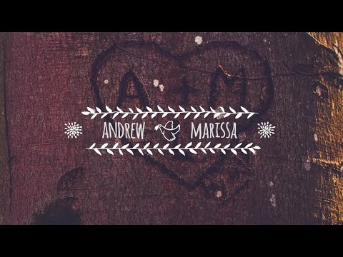 Wedding Titles & Light Leaks Transitions Premiere Pro Templates