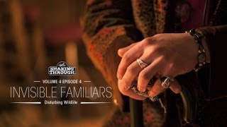 Invisible Familiars - Pt. 1, Disturbing Wildlife | Shaking Through