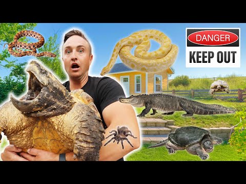 FULL TOUR: Meet Every Animal at My Rescue!