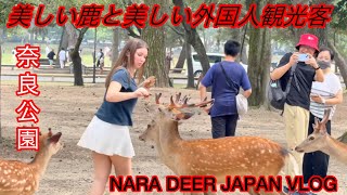 美しい鹿と美しい外国人観光客😋奈良公園 | NARA DEER JAPAN VLOG 🦌💖