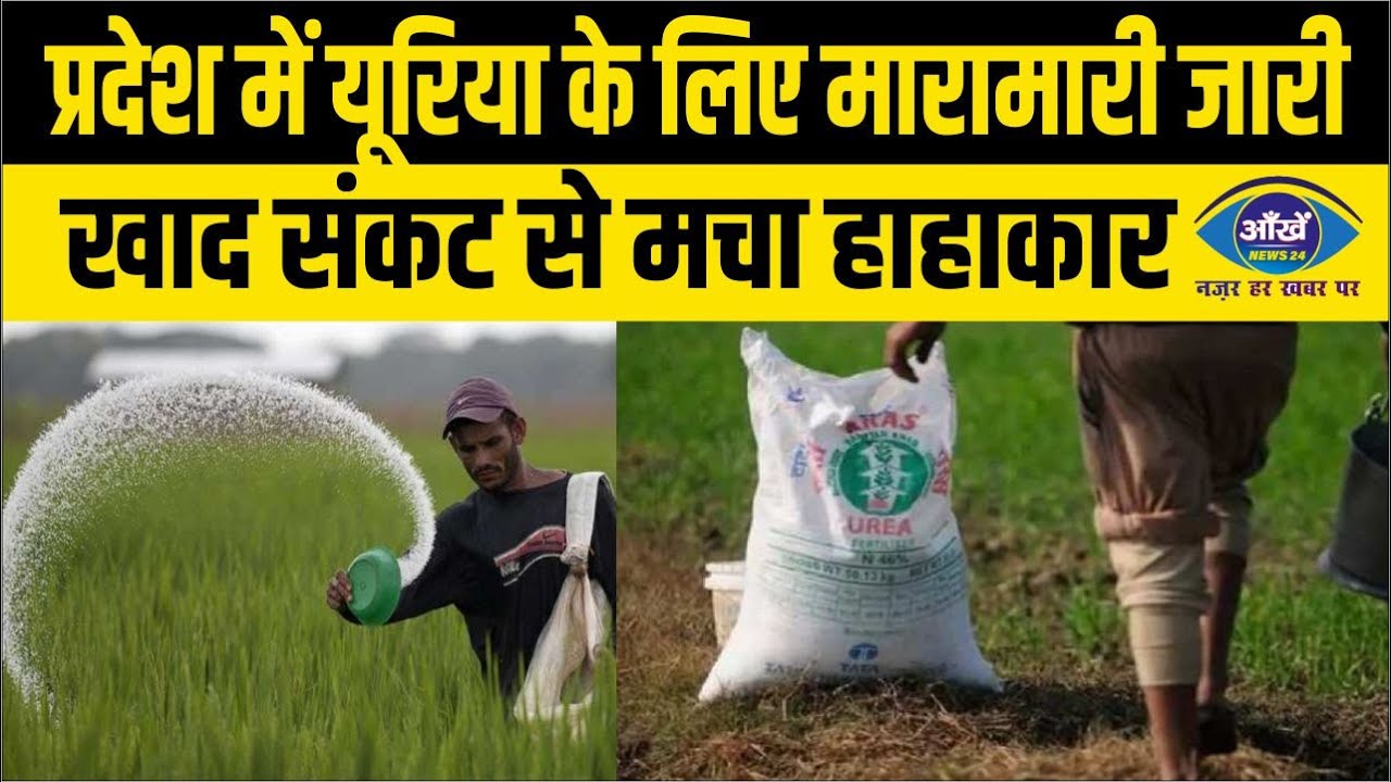 सरकार के तमाम प्रयासों के बावजूद प्रदेश में यूरिया संकट जारी