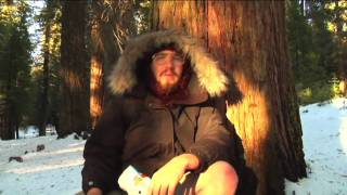 FIRST EVER!!! Captured video of the Great Alaskan Snow Dove: Keith Hamilton