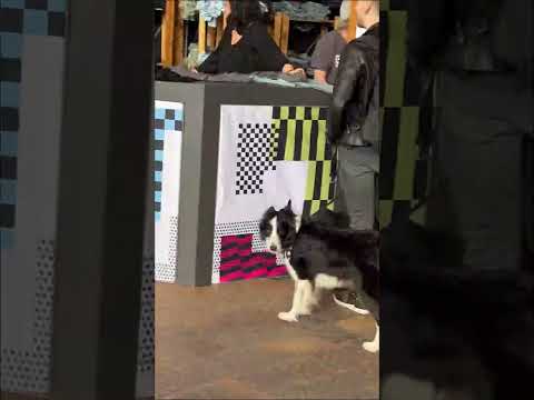 Superbooth Berlin 23'