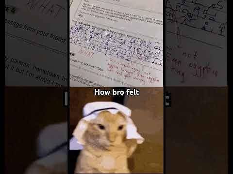 Live footage of bro💀Subscribe for daily vids!#egypt #cat #memes #youtubeshorts