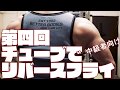 チューブでリバースフライ 本気の!チューブトレーニング講座第四回
