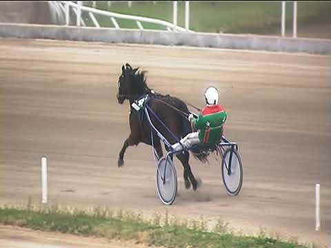 Trotto 19/03/2019 - 1ª corsa