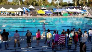 2017 NOVA JAG 400IM Relay