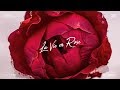 아이즈원 (IZ*ONE) - 라비앙로즈 (La Vie en Rose) Piano Cover 아이즈원 (IZ*ONE) - 라비앙로즈 (La Vie en Rose) Piano Cover