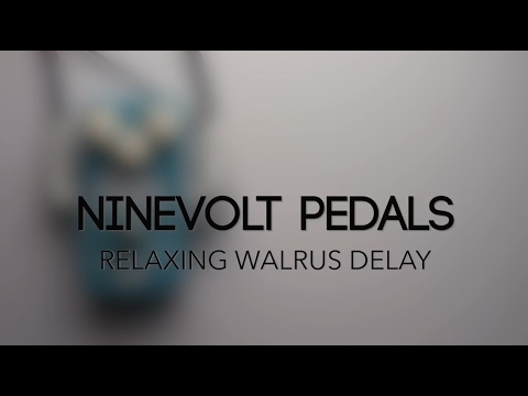 Ninevolt Pedals Relaxing Walrus Delay Guitar Effects Pedal Demo
