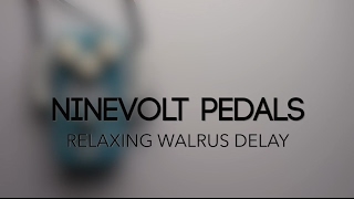 Ninevolt Pedals Relaxing Walrus Delay Guitar Effects Pedal Demo
