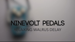 Video thumbnail for Ninevolt Pedals Relaxing Walrus Delay Guitar Effects Pedal Demo by Pedal of the Day