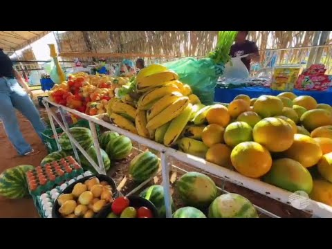 Miguel Alves/PI: farmers and breeders boost local economy