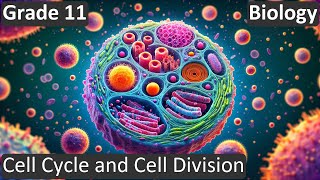 Grade 11 | Biology | Cell Cycle and Cell Division | Free Tutorial | CBSE | ICSE | State Board