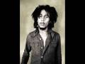 Bob Marley and the Wailers- Iron Lion Zion ...