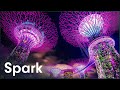 Singapore's Incredible 160-Foot Supertree Statues | Megastructures: Gardens By The Bay | Spark