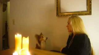 Amanda Somerville / Windows Release, May 10th