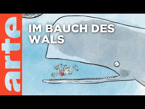 Von einem Wal gefressen – geht das? | Wer nicht fragt, stirbt dumm Reupload | ARTE
