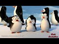 😎 Пингвины (Мадагаскар) - Эволюция (2005 - 2014) ! Шкипер , Кавальски , Рико , Прапор (Рядовой) 👊!
