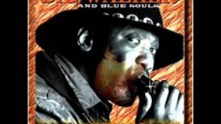 Big Walker & Blue Souls - Blues In the North Land
