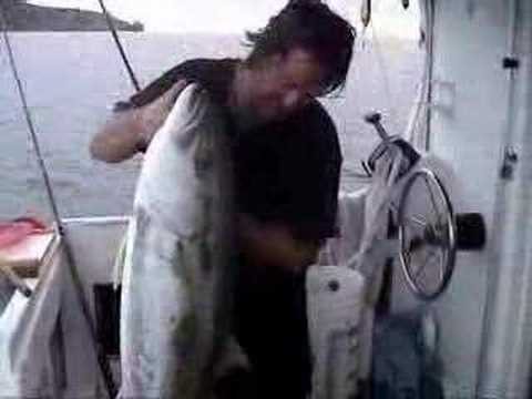 Yellow tail Kingfish caught by Mike, Pt 3