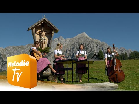 Die Vielsaitigen - Romedi Landler (Offizielles Musikvideo)