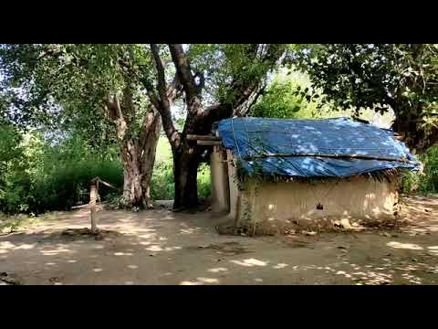 nature lover art work shop