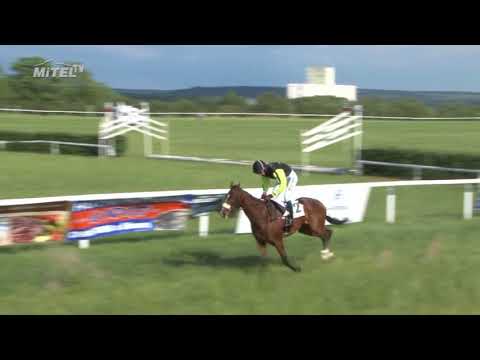 MI, 2. 6. 2018, 8. dostih - Cena firmy Virgo - hutní materiál