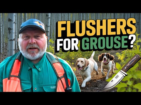 Versatile Gun Dog and Pine Hill Gun Dog Training