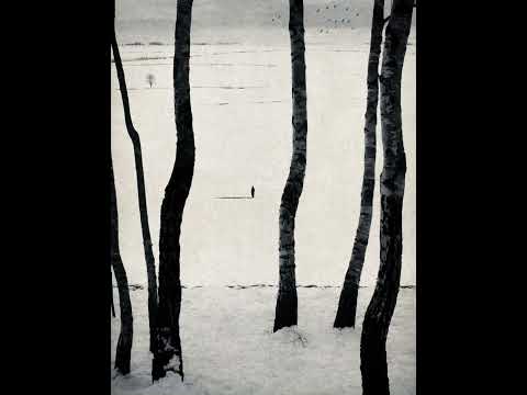 navy blue x wiki x madlib type beat “igive” [prod. SUNNY PAFH]