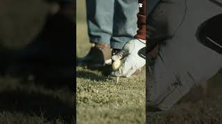 Golf Glove - Leather Glove Manufacturing Company