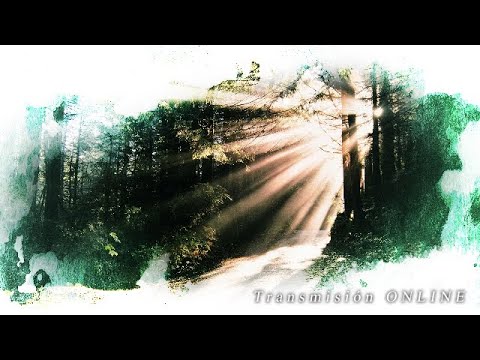 Domingo, 5 de Septiembre de 2021 AM