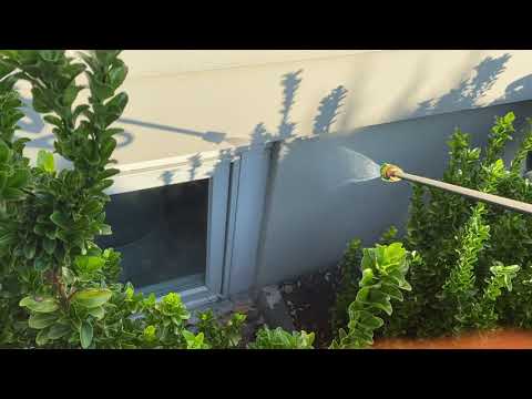 Crack in Basement Window Causes Interior Ant Infestation in Rumson, NJ