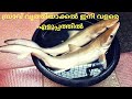 സ്രാവ് വൃത്തിയാക്കാൻ വളരെ എളുപ്പത്ത�