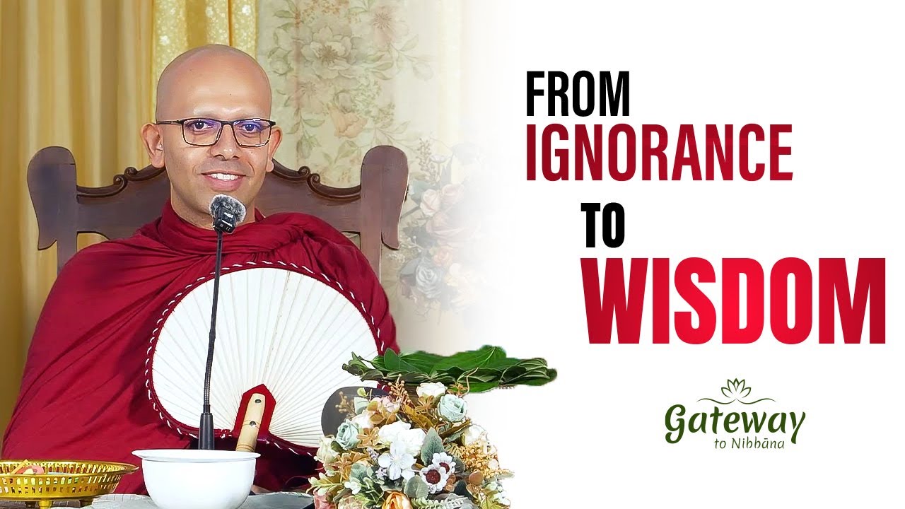 From Ignorance To Wisdom