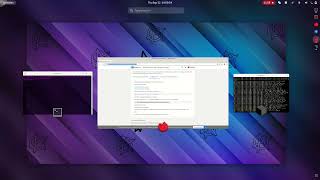 Qubes OS - Kicksecure Setup with browser fingerprint