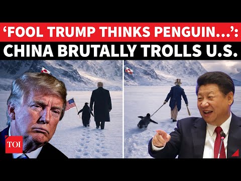 ‘CLUELESS TRUMP…’: China’s PENGUIN Post Retaliation Shocks US | Greenland Clash Sparks Meme War