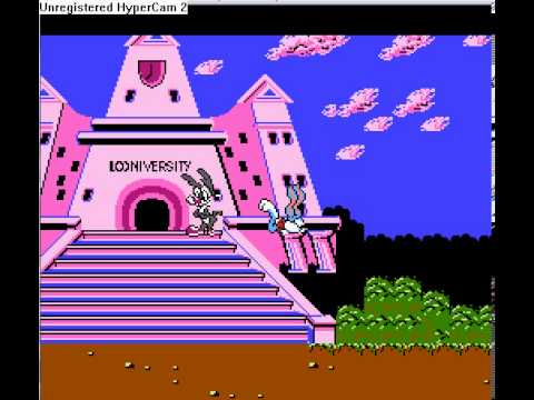 a new custom episode of Tiny Toons