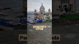 Download lagu Pantai Talise ada buaya? #buaya #palu #sulteng mp3