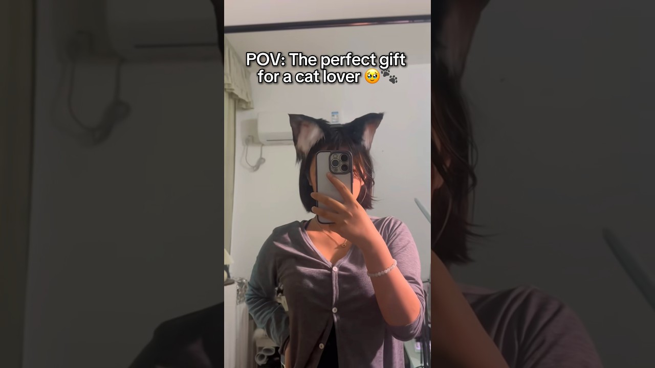 Cat ear headbands that moves 🥹