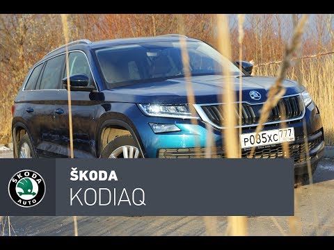 Шкода Кодиак: новый Skoda Kodiaq 2021: цена, фото, комплектации.