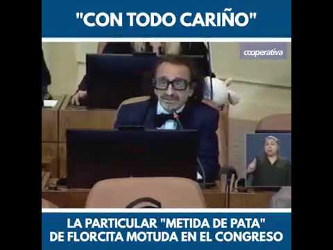 Metida de pata Diputado Florcita Motuda "Conchatumadre"
