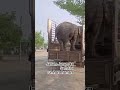 Janam Janam Ka Sath Hai Short Video Viral