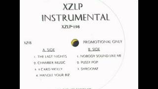 Xzibit - Nobody Sound Like Me (instrumental)