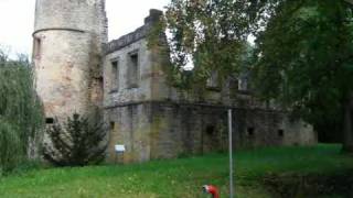 preview picture of video 'Weiler Burg bei Sinsheim'