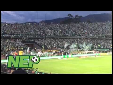 "La hinchada: La fuerza del campeón" Barra: Los del Sur &bull; Club: Atlético Nacional