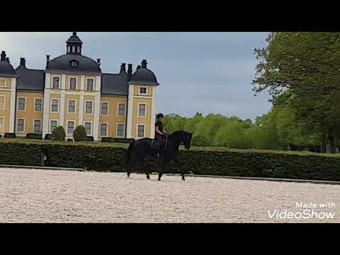 Vendela & Johnston at Strömsholms castle