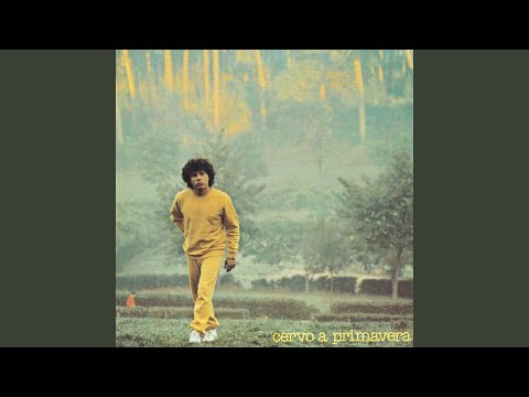 Video thumbnail for Cervo a primavera