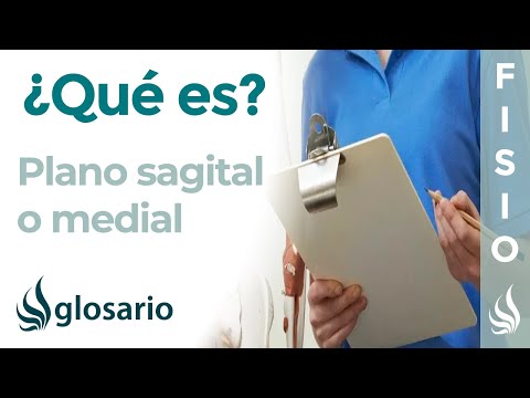 PLANO SAGITAL | Qué es, significado y para qué se usa en anatomía