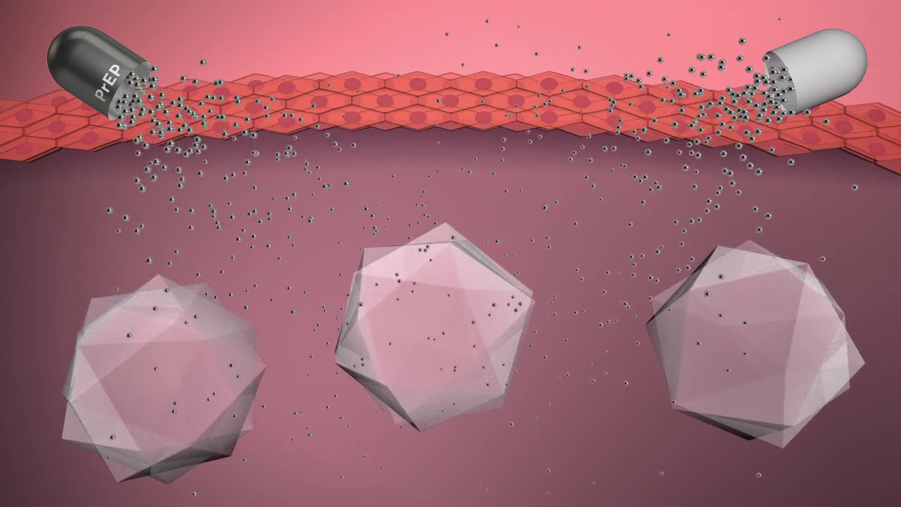 Miguel Ángel Cortés Vázquez-4