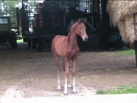 Londontime x Quality